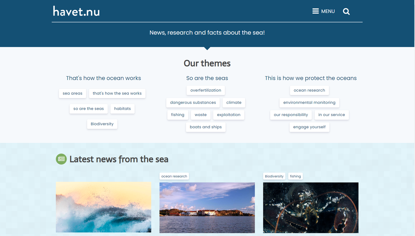 Havet Blogs